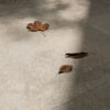 Hemingford Grey Limestone Floor Tiles